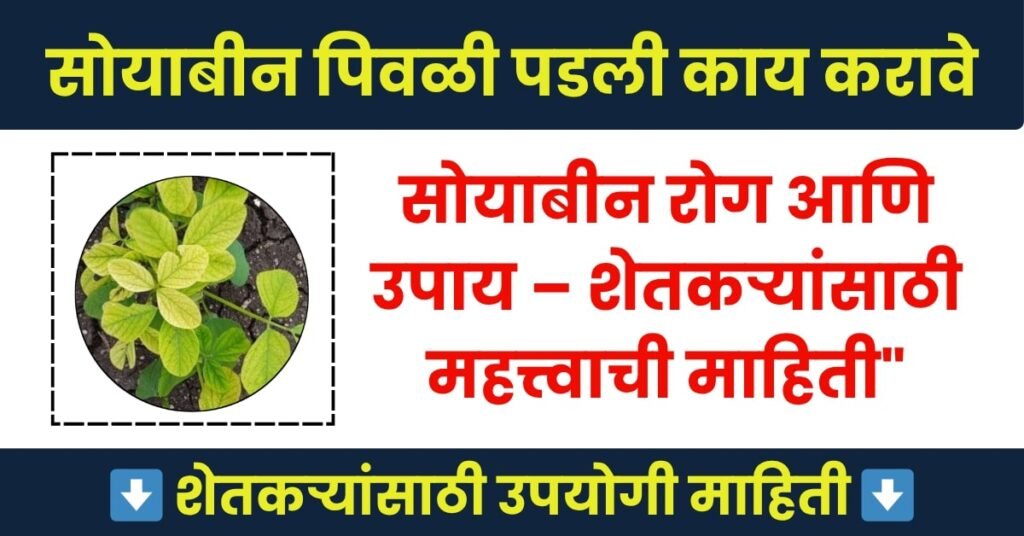 सोयाबिन पिवळी पडण्याची कारणे