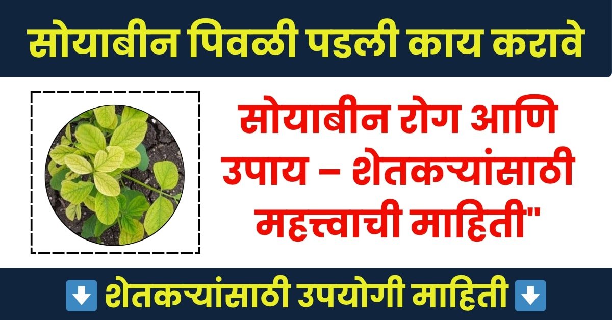 सोयाबिन पिवळी पडण्याची कारणे